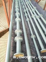 上海出口星空体育官网下载手机版